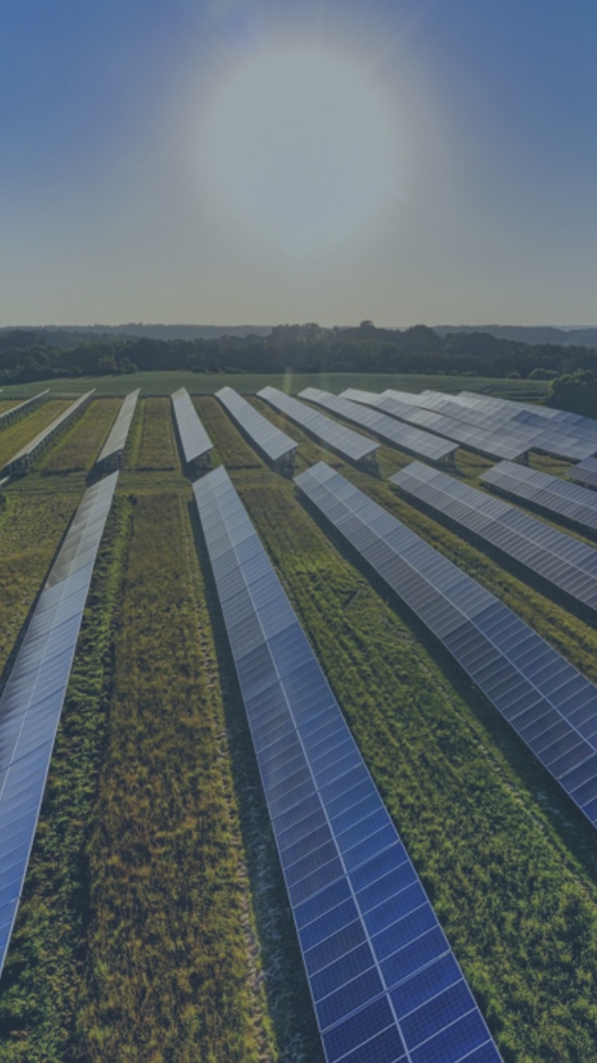 Solarfarm